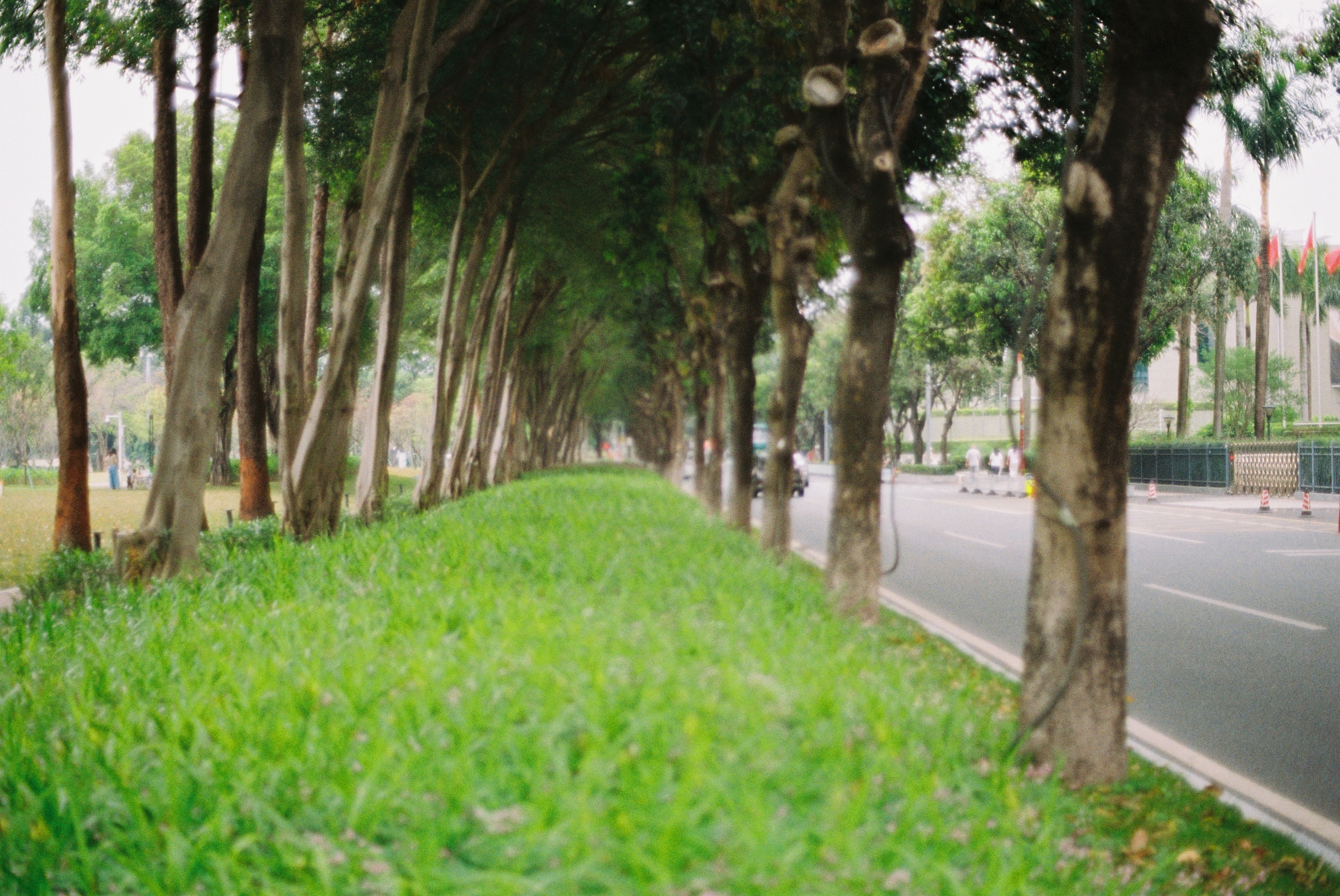 摇摇晃晃